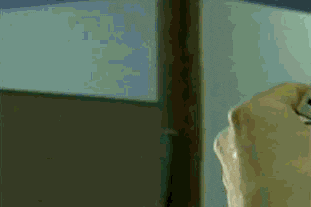 vintage-internet-computer